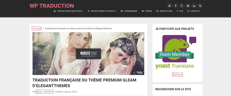 WP Traduction: la boutique en ligne de traductions françaises de thèmes et plugins WordPress