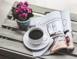 Articlo : guide d'informations du quotidien