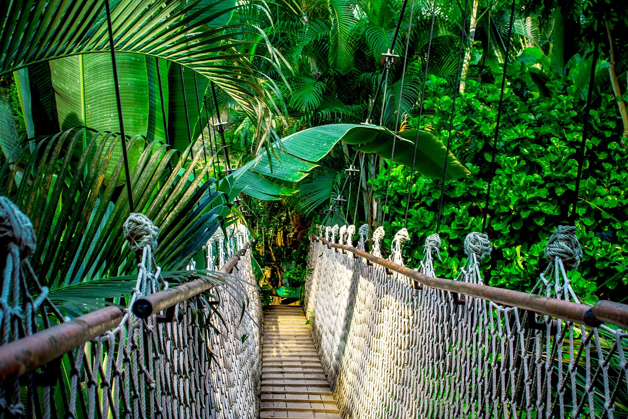 Pitchoun Forest : parcours aventures pour les enfants