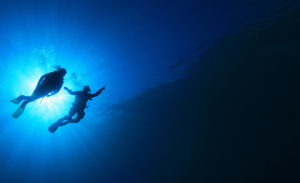 SpotMyDive : guide sur la plongée sous marine
