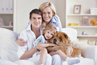 assurance vie