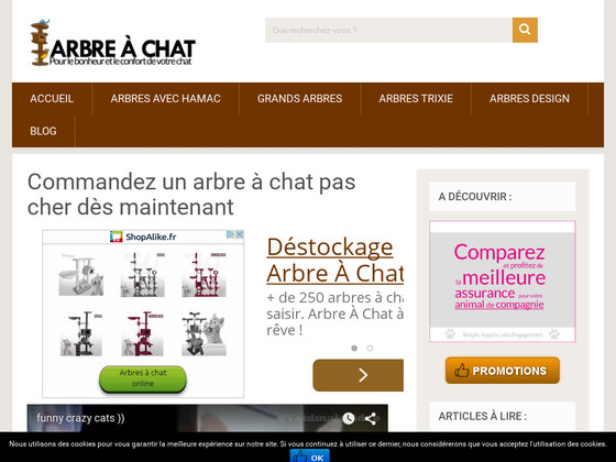 arbre à chat