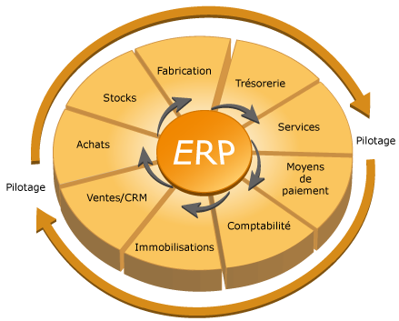 Michel campillo : Consultant ERP (logiciels de gestion)