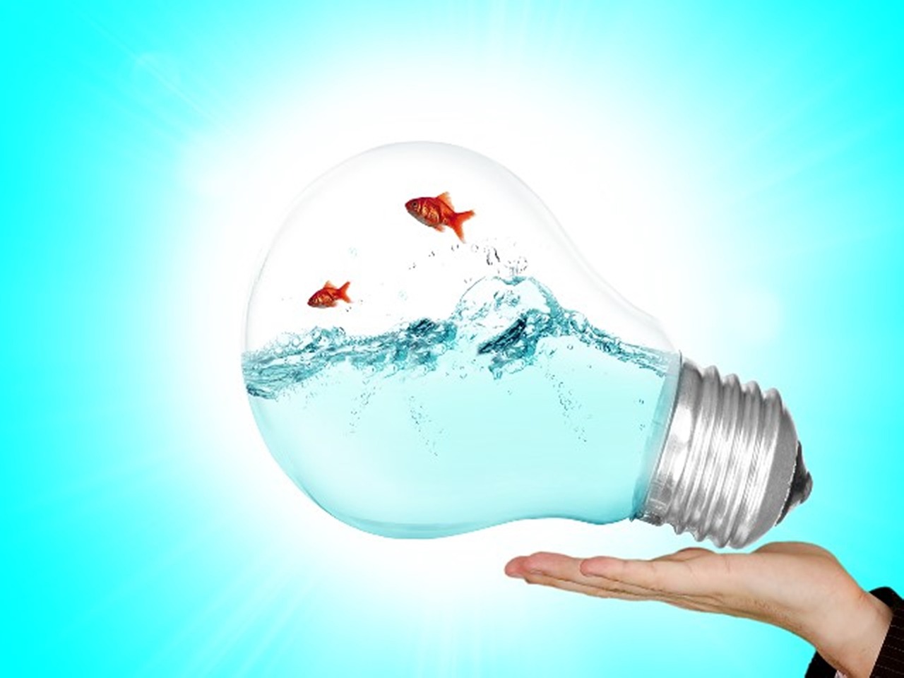 In Management : le spécialiste du management de projets