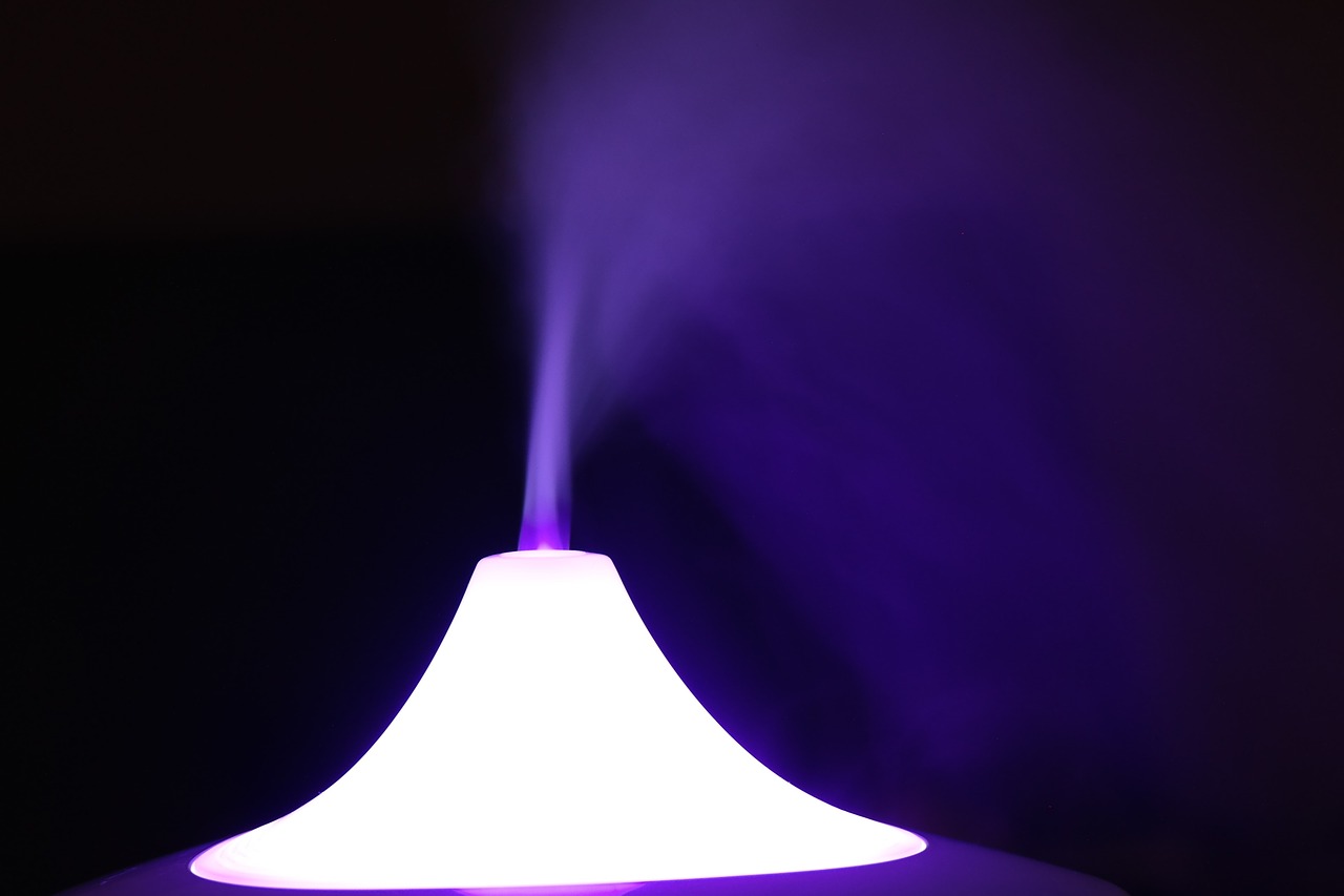 Humidificateur : rafraîchir et purifier l'air ambiant de toutes vos pièces