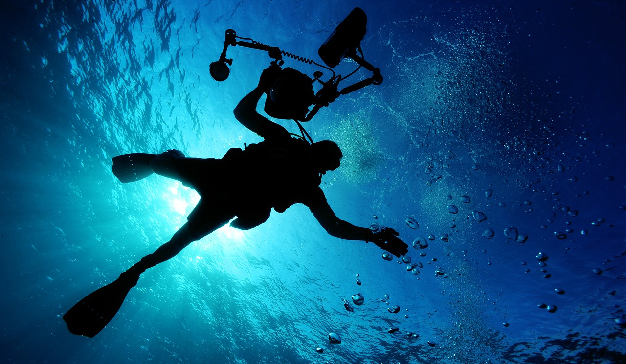 Aedivers : découvrez le monde sous-marin