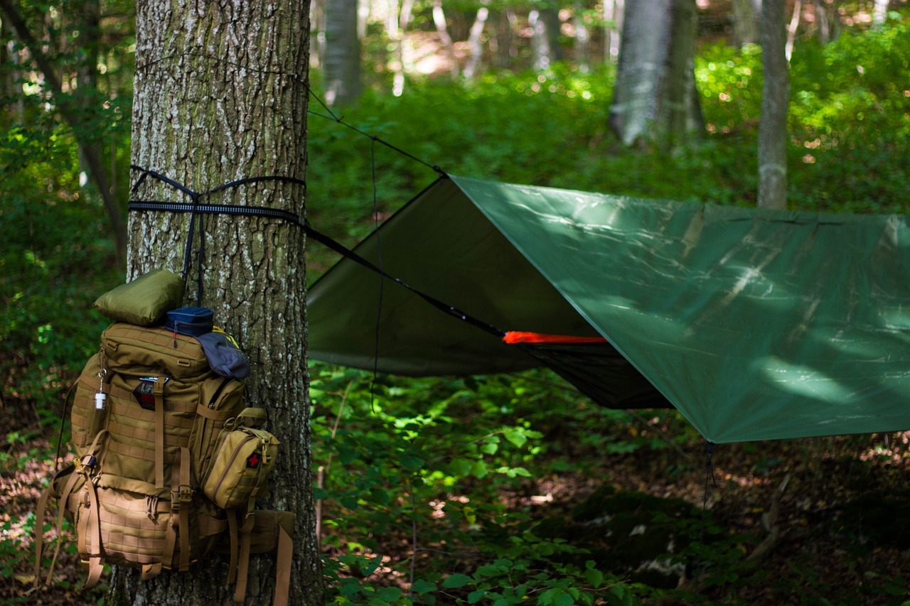 Survivaguide : connaitre les techniques de survie