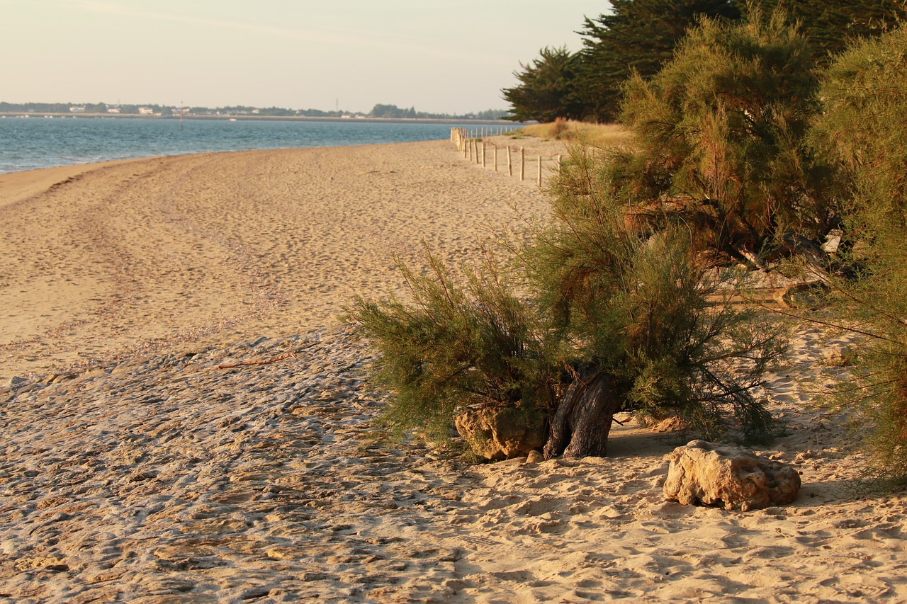 Gites de france vendée : location de vacances en Vendée