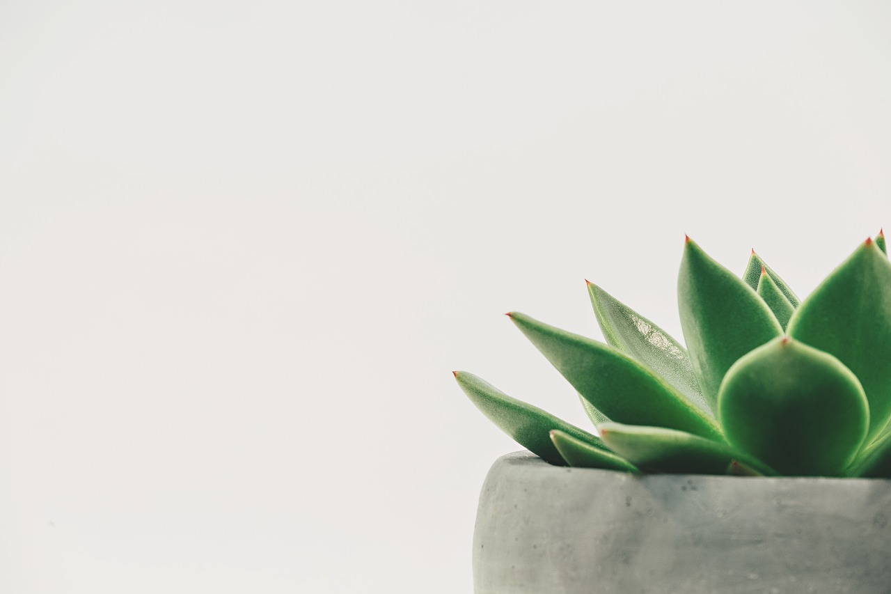 Lokace : tout pour une décoration originale et unique