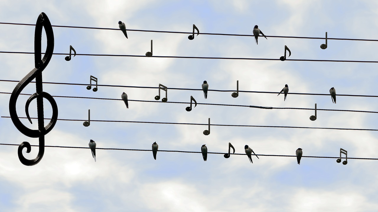 Chorale-chant : chorales de la région Paca