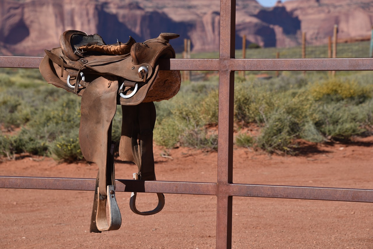 Taureau-rodeo-mecanique : pour jouer au cow-boy