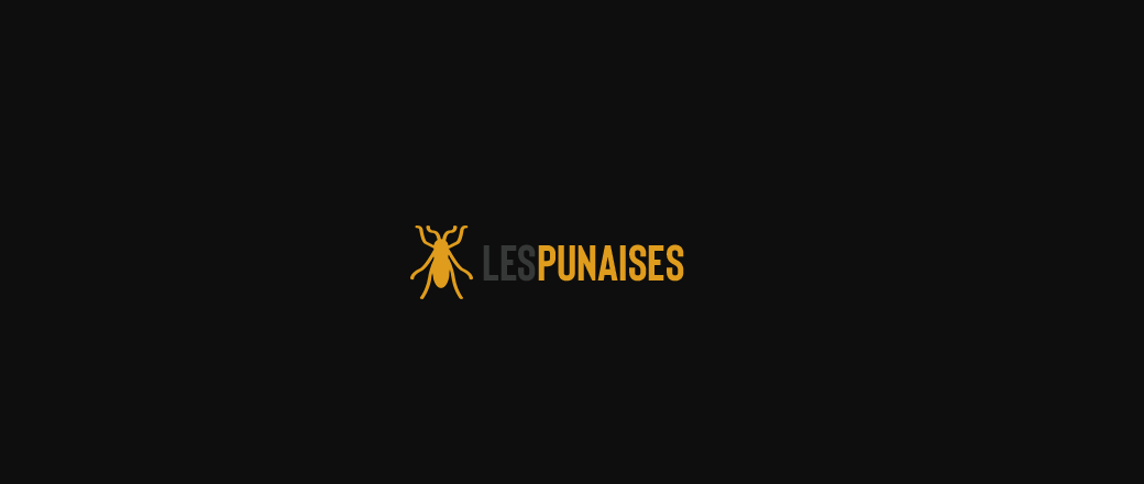 Les-punaises : comment se débarrasser des punaises de lit?