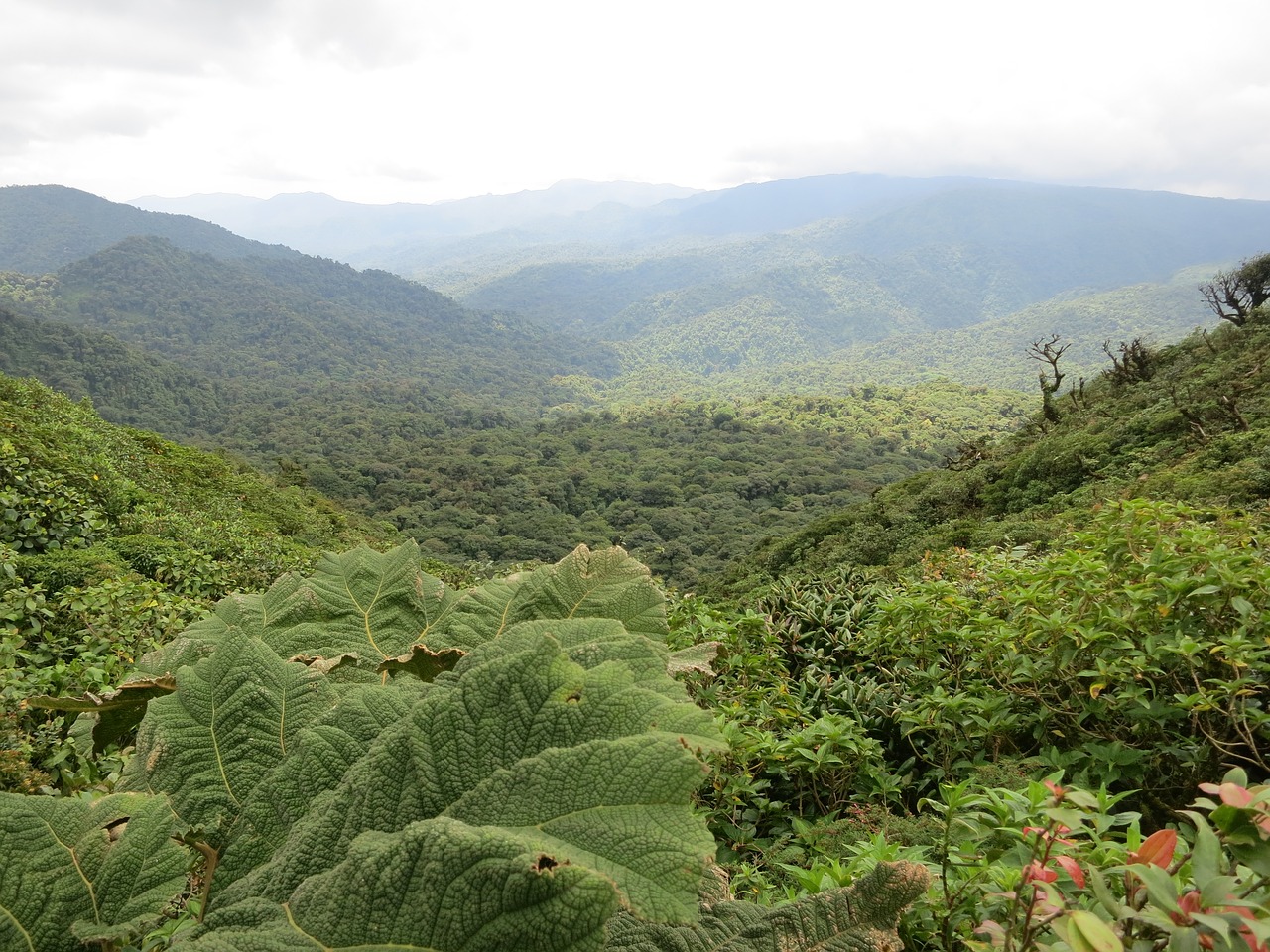MagVoyage : a la découverte de la nature du Costa Rica