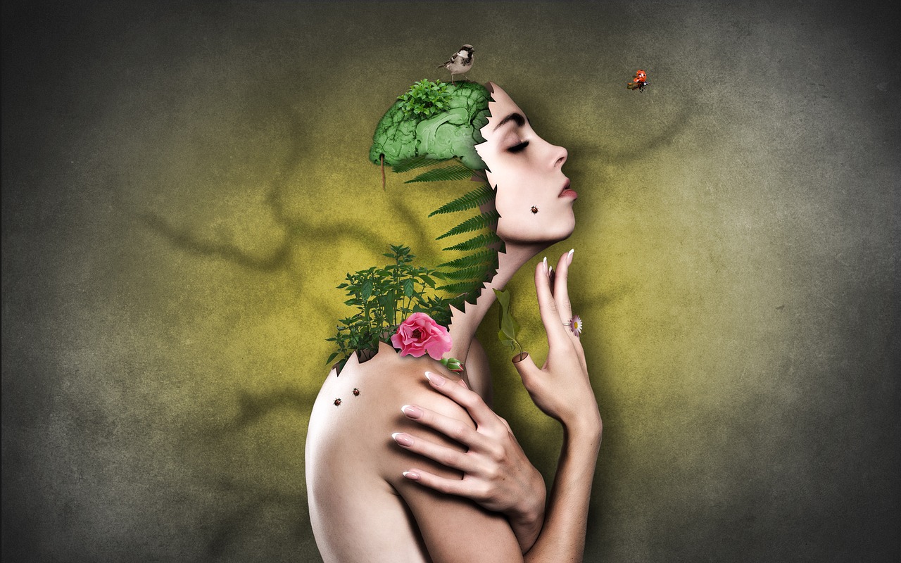 Cosmétiques Bio : boutique en ligne de produits naturels