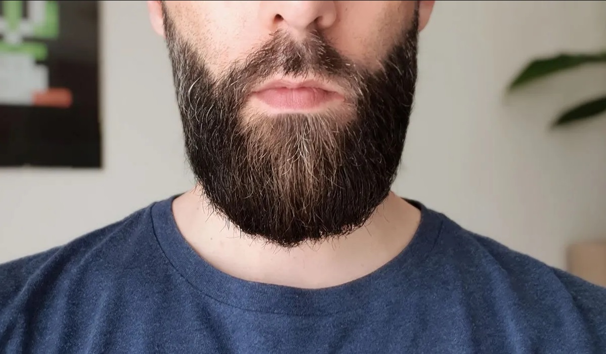 Bellebarbouze : comparatifs des meilleurs produits et matériels pour barbe