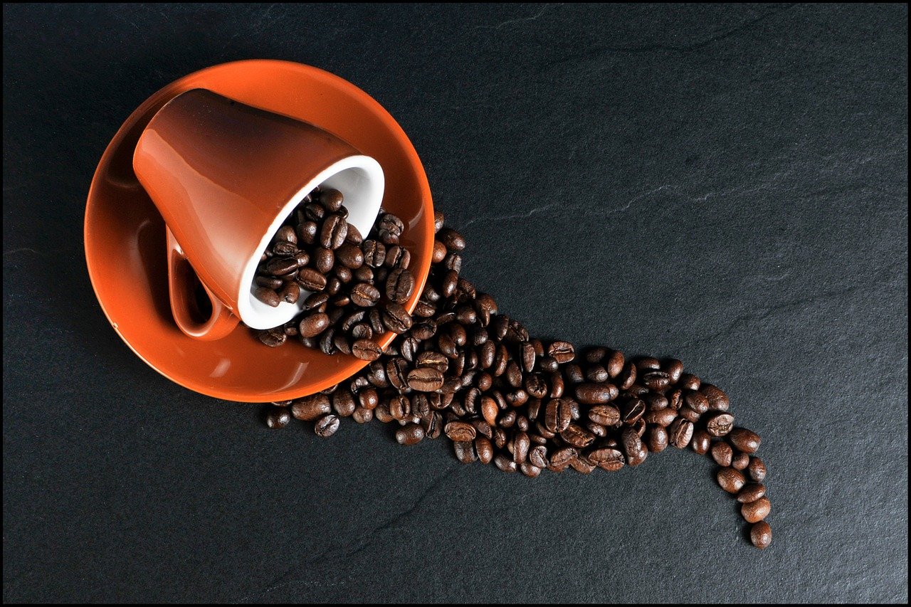 Tasseacafe : le guide à connaître sur le café