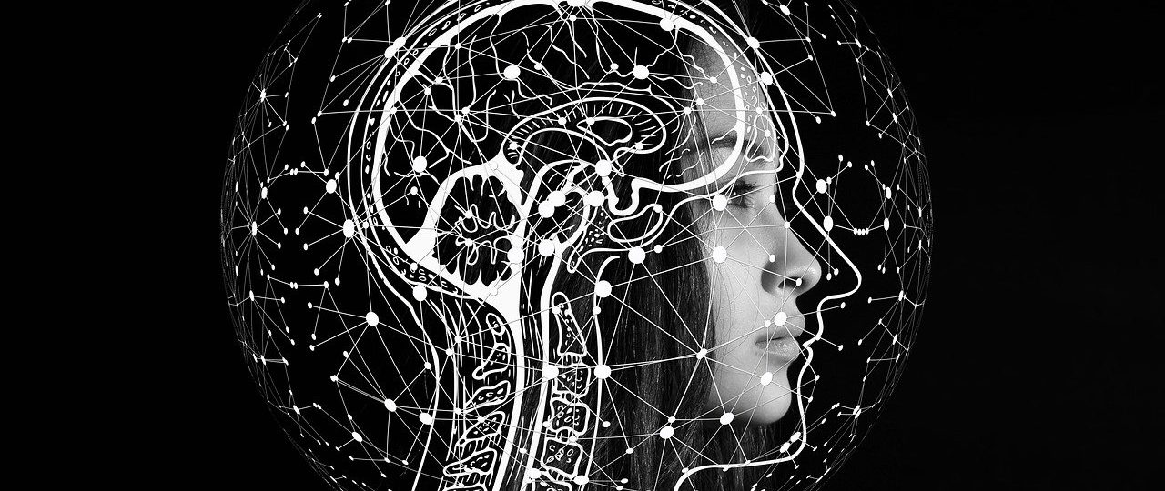 Com par l'image : illustrations scientifiques