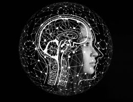 Com par l'image : illustrations scientifiques