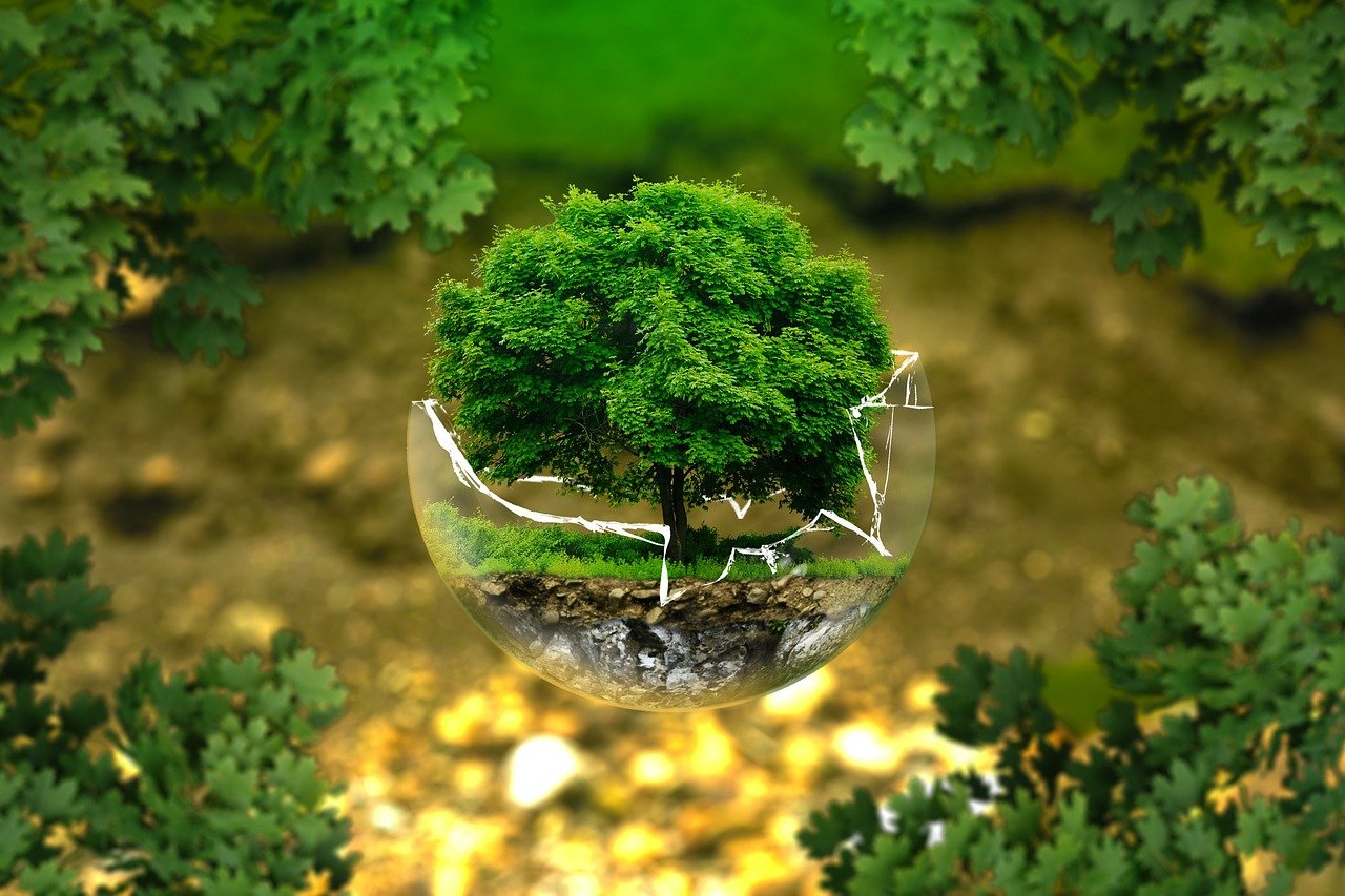Greening Earth : la meilleure solution pour laver sans lessive
