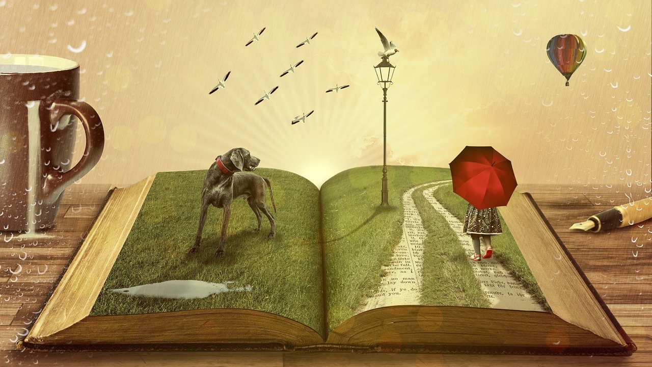 Laviondepapier : les livres de jeunesse