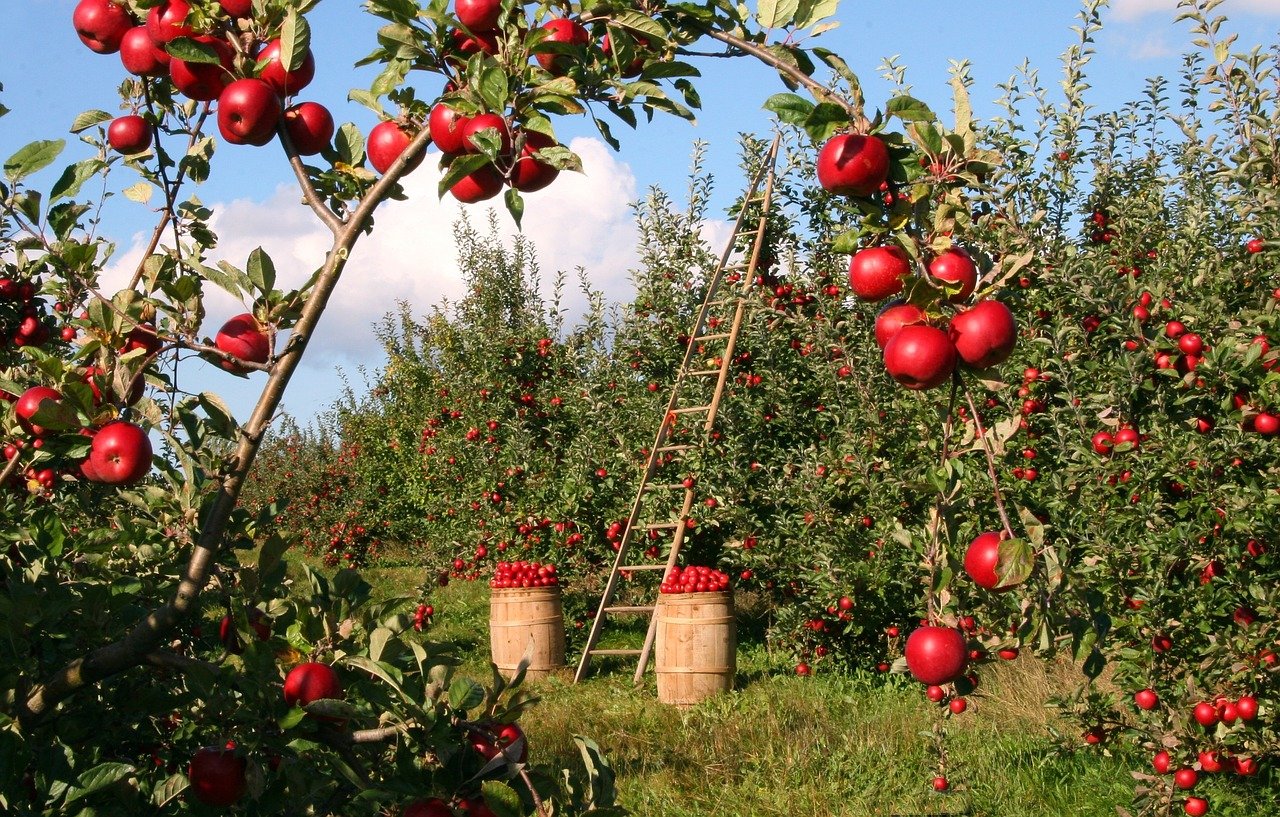 3 Moulins : pour une bonne santé alimentaire