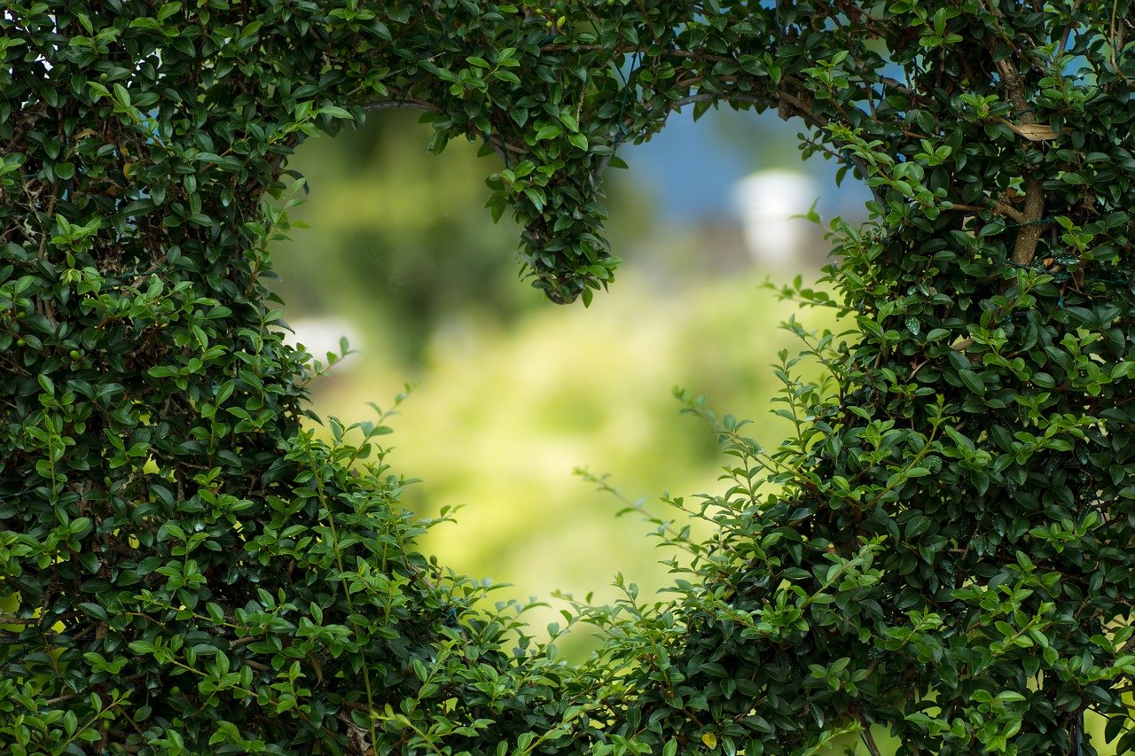 Jardin Extraordinaire : de meilleurs conseils avisés sur le jardinage