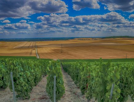Voyageagricoleviticole : visiter les terroirs de France