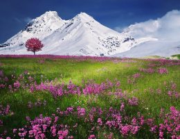Montriond : location d'appartements à Morzine