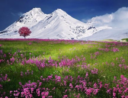 Montriond : location d'appartements à Morzine
