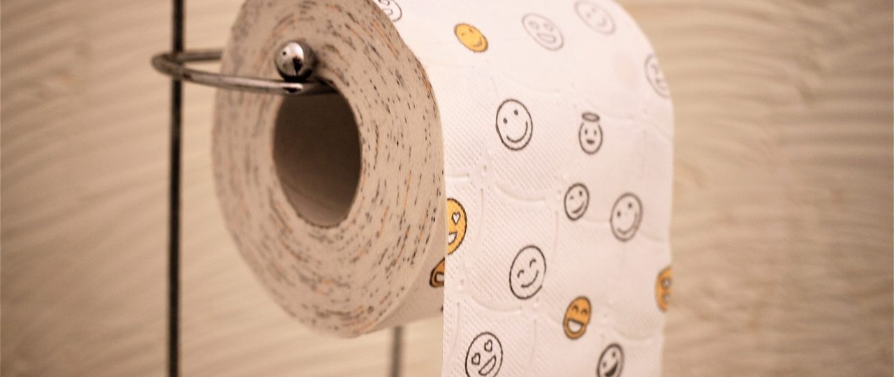Monsieur-toilettes : spécialiste du wc portable