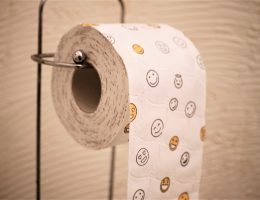 Monsieur-toilettes : spécialiste du wc portable
