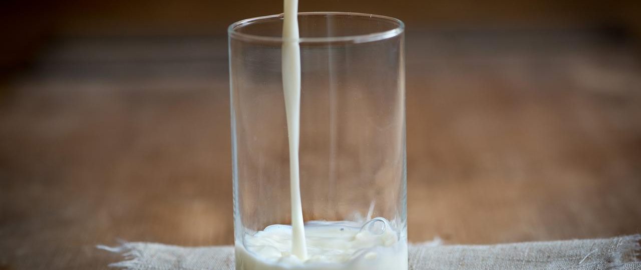 L-entraineur-en-ligne : tout savoir sur la whey protéine