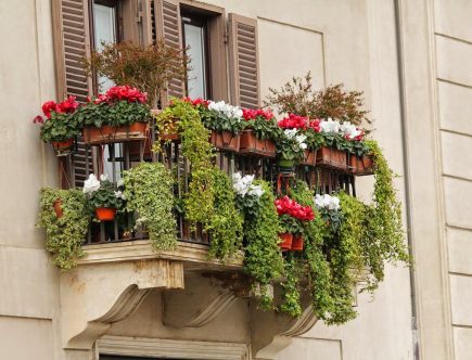 Ceercle : potager de balcon pour une expérience de jardinage en ville