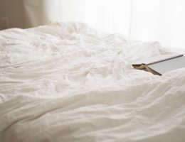 SERENI-D : la référence des produits naturels anti-punaises de lit
