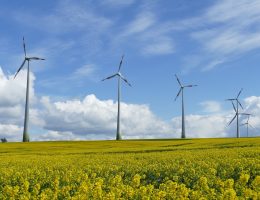 Éolienne domestique